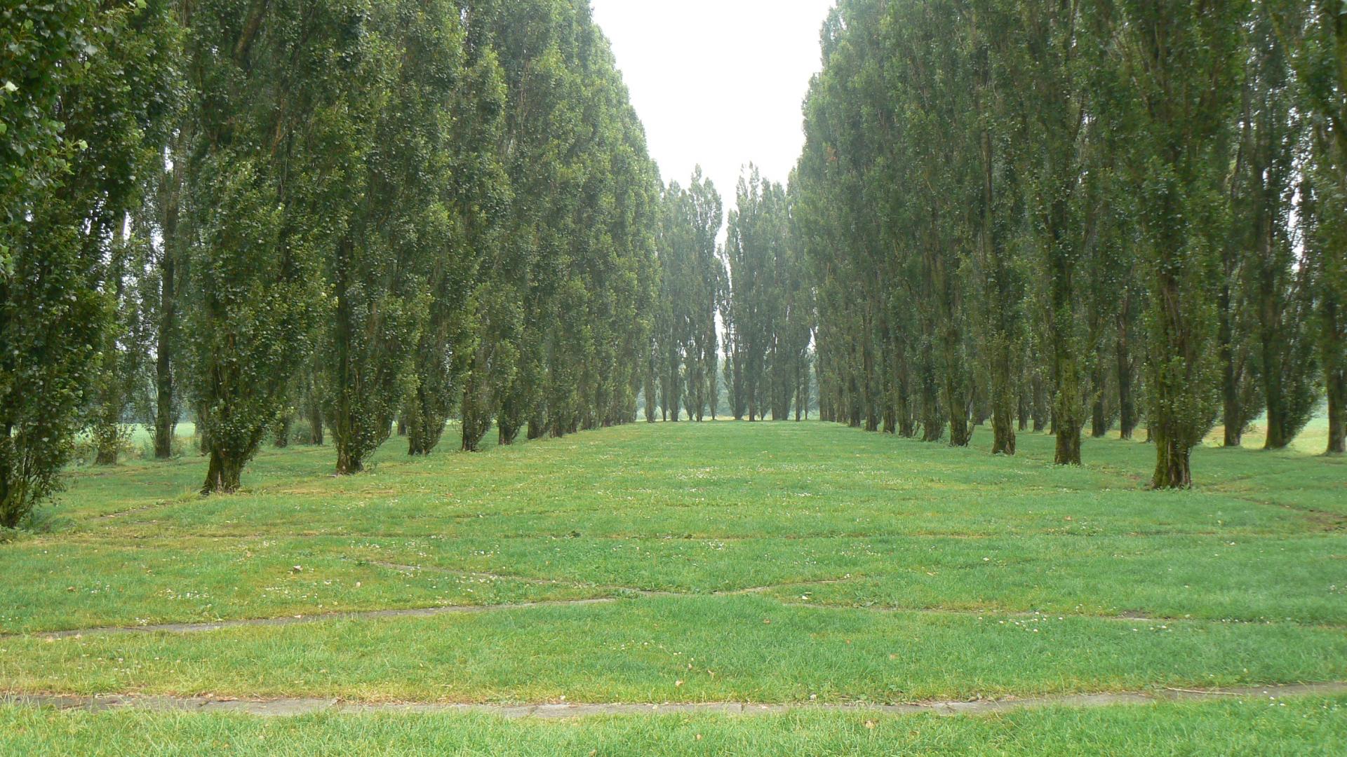 De Groene Kathedraal